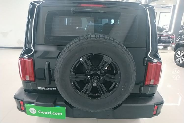 Used Tank 300 2025 2.0T Conqueror Rear