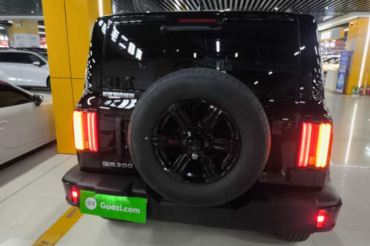 Used Tank 300 2025 2.0T Challenger Rear