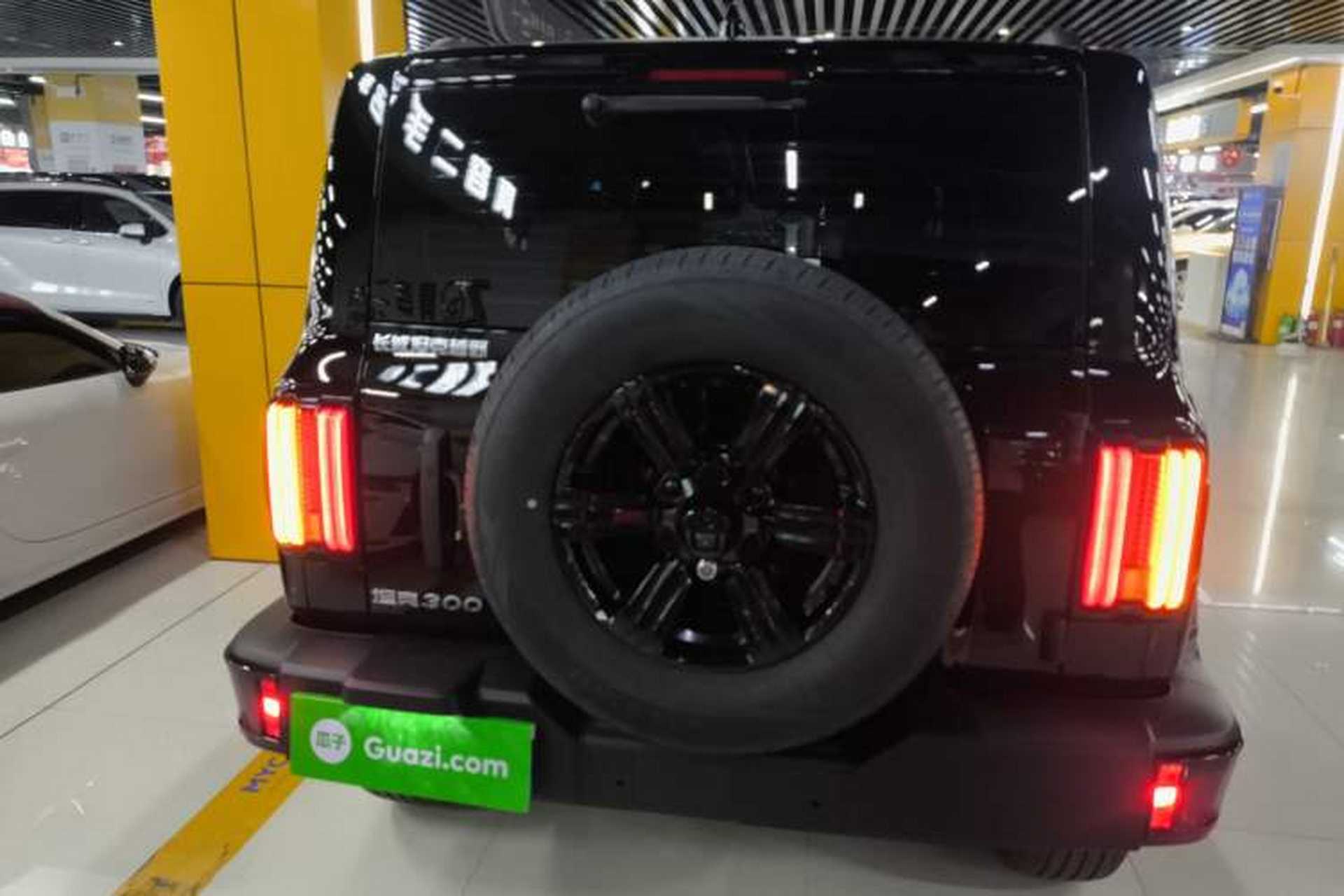 Used Tank 300 2025 2.0T Challenger Rear