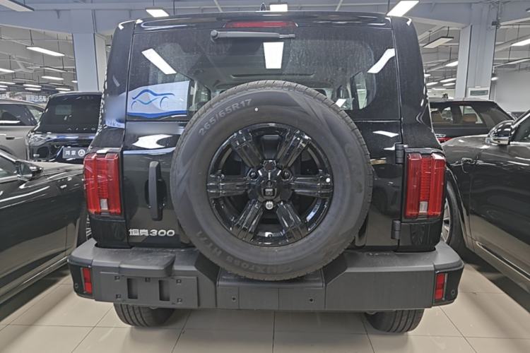 Used Tank 300 2025 2.0T Challenger Rear