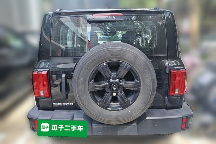 Used Tank 300 2025 2.0T Conqueror Rear