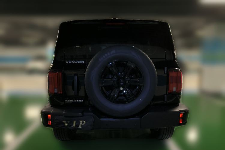 Used Tank 300 2025 2.0T Conqueror Rear