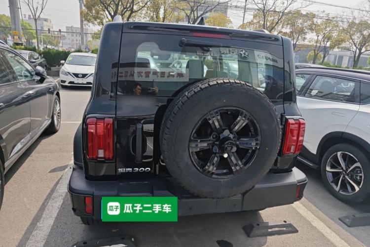 Used Tank 300 2025 2.0T Conqueror Rear