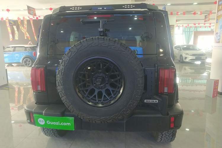 Used Tank 300 2025 2.0T Conqueror Rear