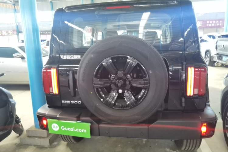 Used Tank 300 2025 2.0T Conqueror Rear