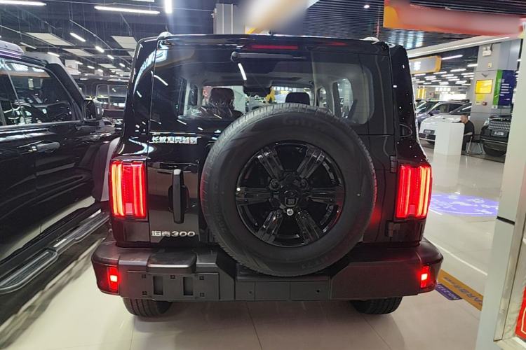 Used Tank 300 2025 2.0T Conqueror Rear