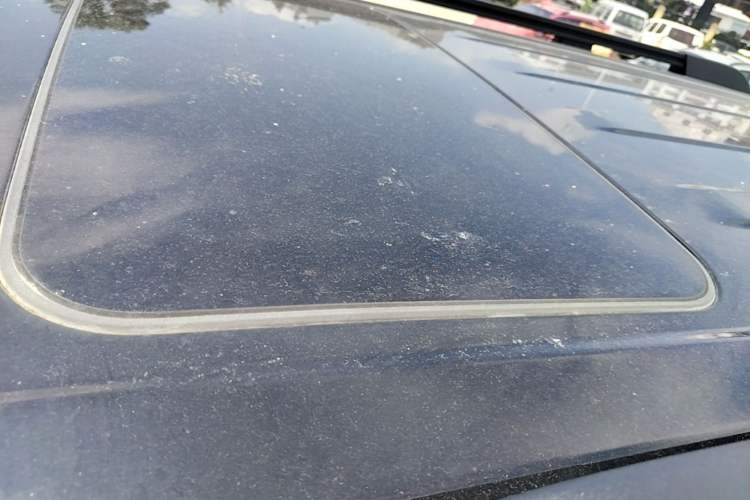 Used Tank 300 2025 2.0T Conqueror Roof