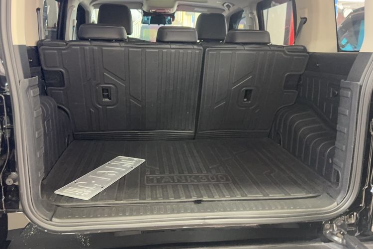 Used Tank 300 2025 2.4T Diesel Version Trunk