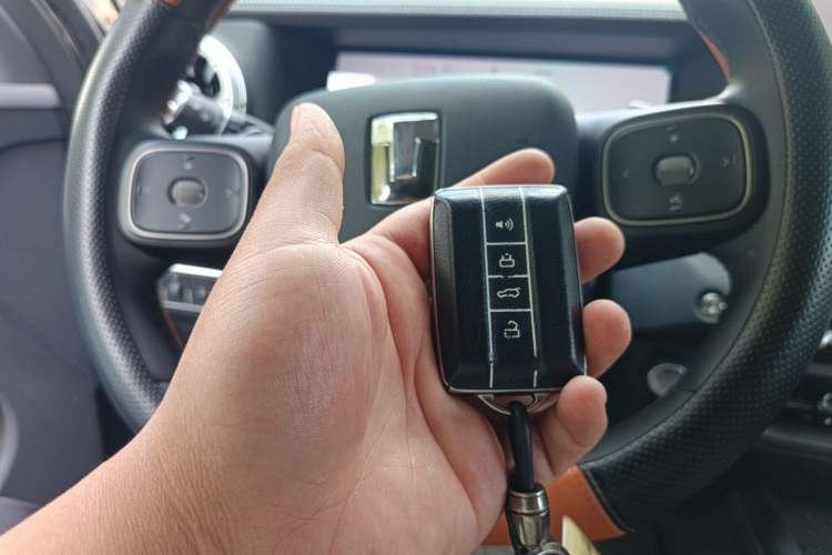 Used Tank 300 2025 2.0T Conqueror Vehicle Key