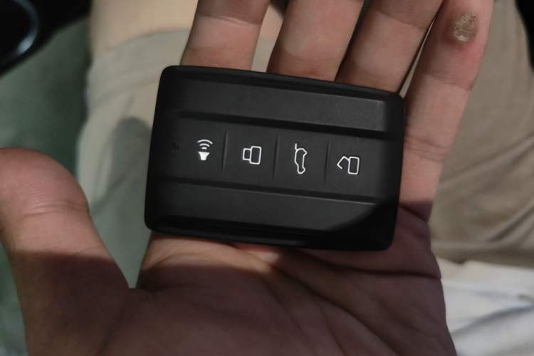 Used Tank 300 2025 2.0T Conqueror Vehicle Key
