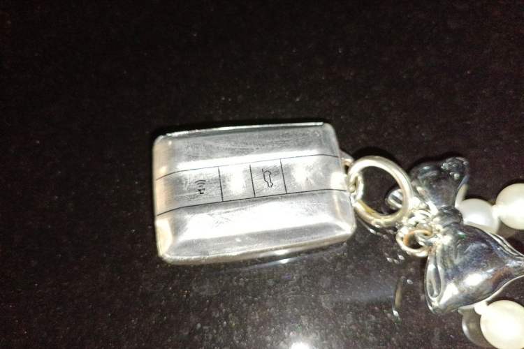 Used Tank 300 2025 2.0T Conqueror Vehicle Key