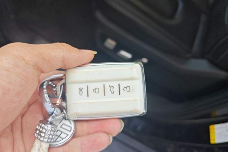 Used Tank 300 2025 2.0T Conqueror Vehicle Key