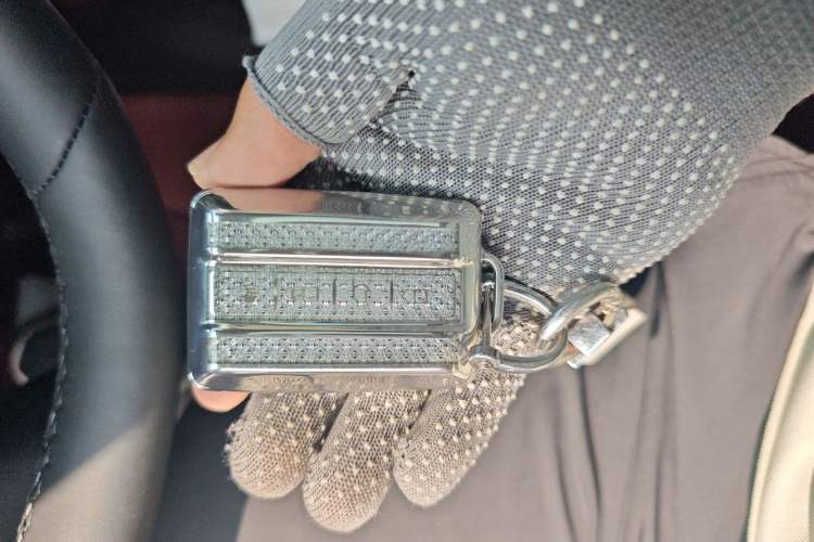 Used Tank 300 2025 2.0T Conqueror Vehicle Key
