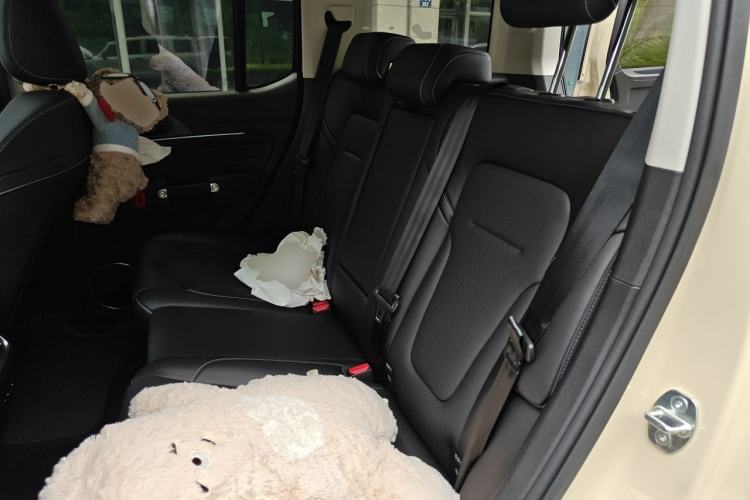 Used Tank 300 2025 2.0T Conqueror Left Rear Seat