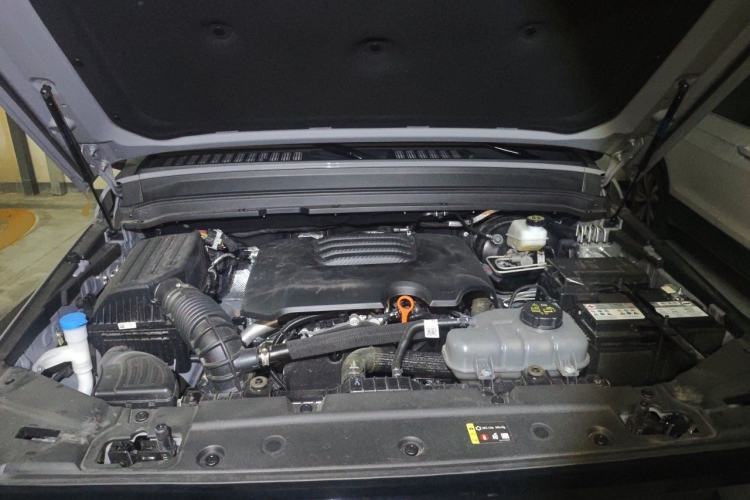 Used Tank 300 2025 2.0T Conqueror Engine Bay
