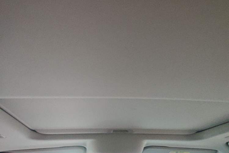 Used Tank 300 2025 2.0T Conqueror Headliner