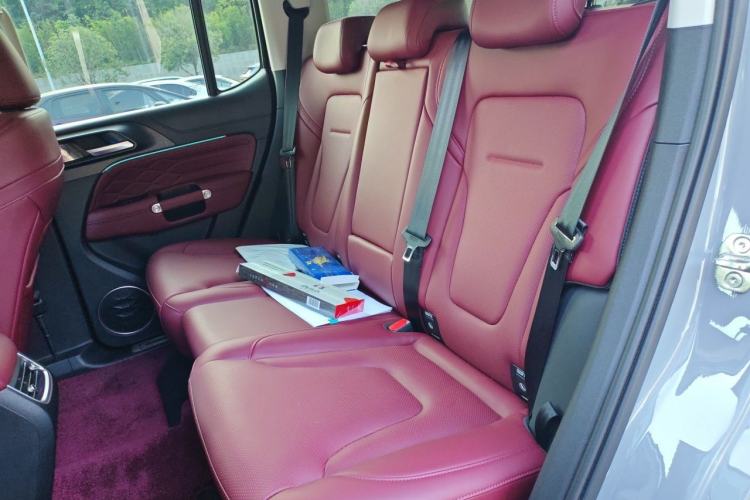 Used Tank 300 2025 2.4T Diesel Version Left Rear Seat