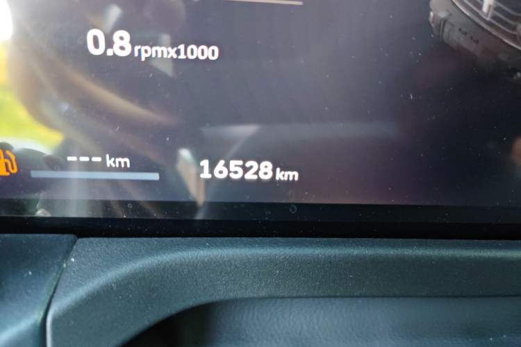 Used Tank 300 2025 2.4T Diesel Version Odometer Close Up