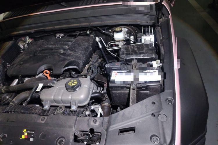 Used Tank 300 2025 2.0T Conqueror Engine Bay Left