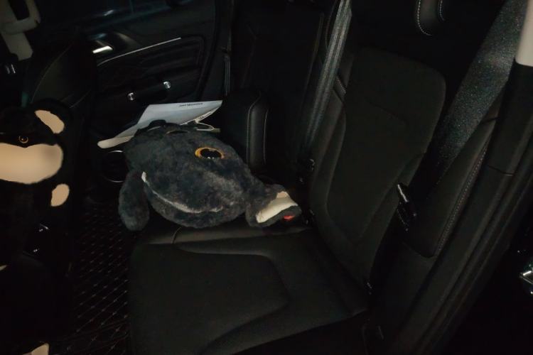 Used Tank 300 2025 2.0T Conqueror Left Rear Seat