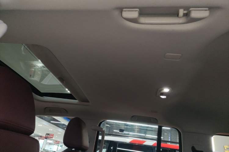 Used Tank 300 2025 2.4T Diesel Version Headliner