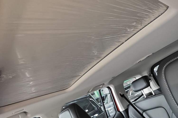 Used Tank 300 2025 2.0T Conqueror Headliner