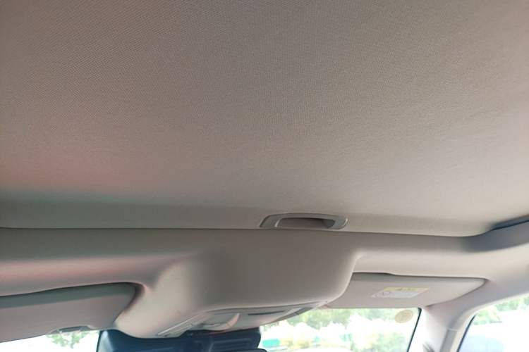 Used Tank 300 2025 2.0T Conqueror Headliner