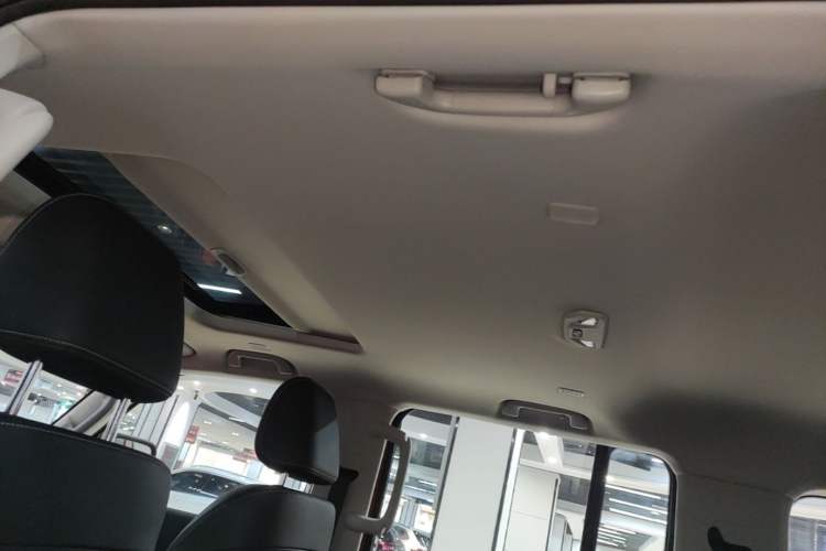 Used Tank 300 2025 2.0T Conqueror Headliner