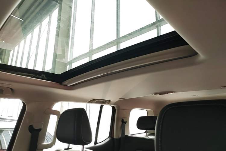 Used Tank 300 2025 2.0T Conqueror Headliner