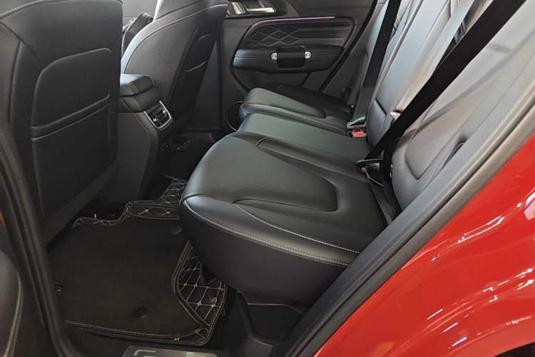 Used Tank 300 2025 2.0T Conqueror Left Rear Seat