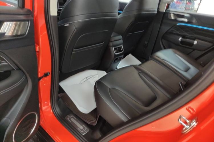 Used Tank 300 2025 2.0T Conqueror Left Rear Seat