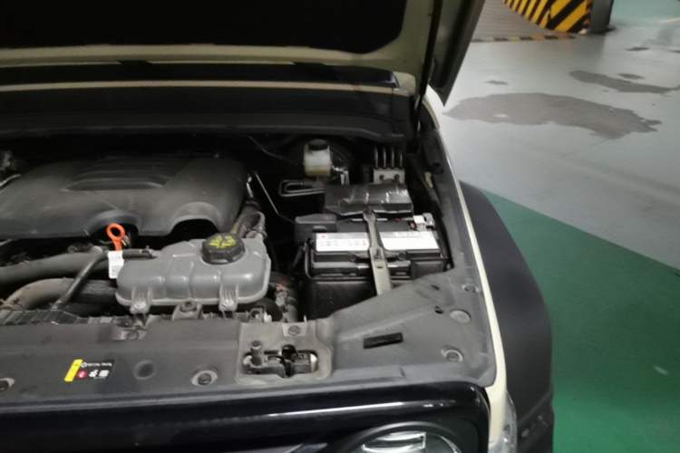 Used Tank 300 2025 2.0T Conqueror Engine Bay Left