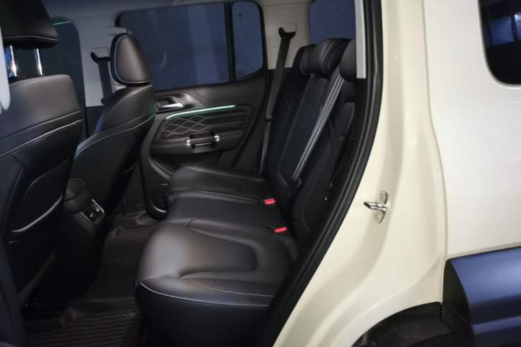 Used Tank 300 2025 2.0T Conqueror Left Rear Seat