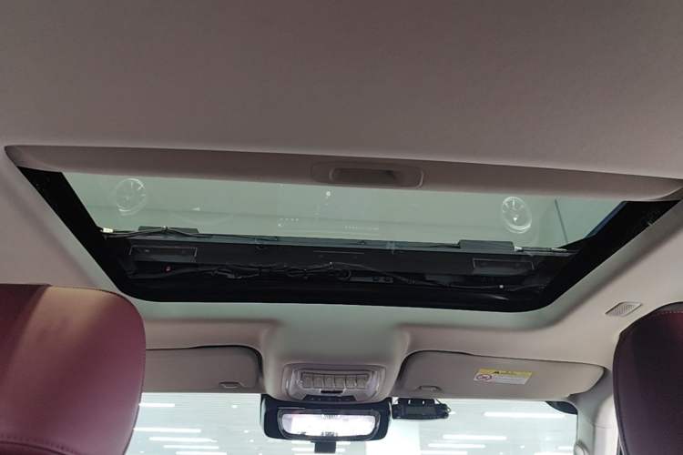 Used Tank 300 2025 2.4T Diesel Version Headliner