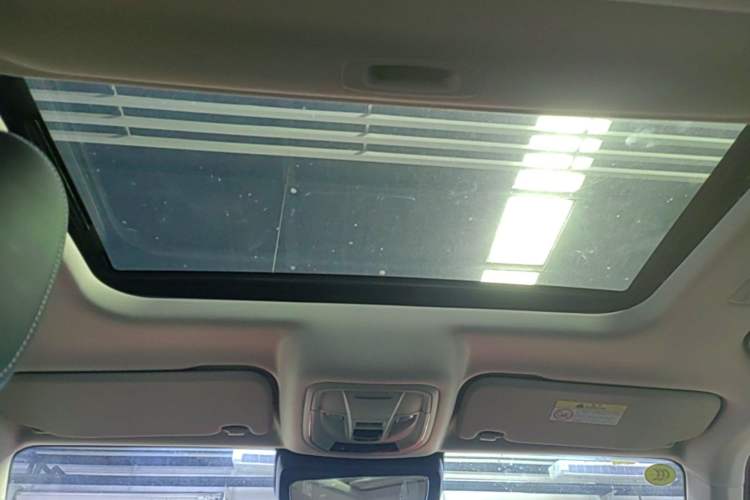 Used Tank 300 2025 2.0T Conqueror Headliner