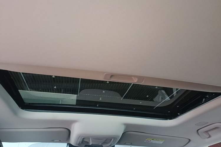 Used Tank 300 2025 2.0T Conqueror Headliner