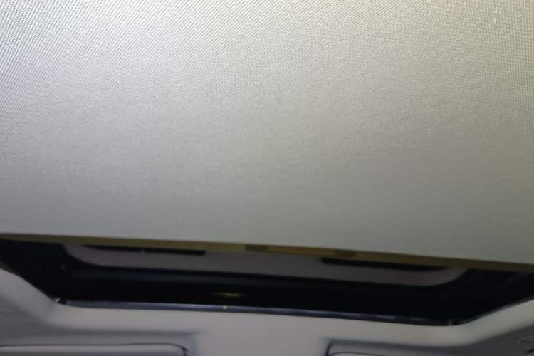 Used Tank 300 2025 2.4T Diesel Version Headliner