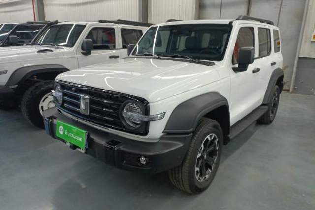 Used Tank 300 2025 2.4T Diesel Version