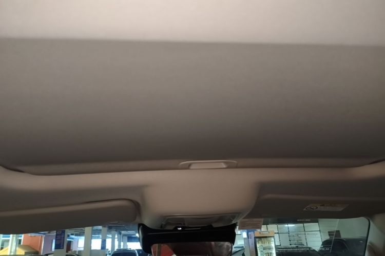 Used Tank 300 2025 2.4T Diesel Version Headliner