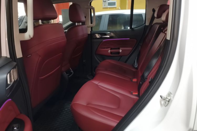 Used Tank 300 2025 2.4T Diesel Version Left Rear Seat