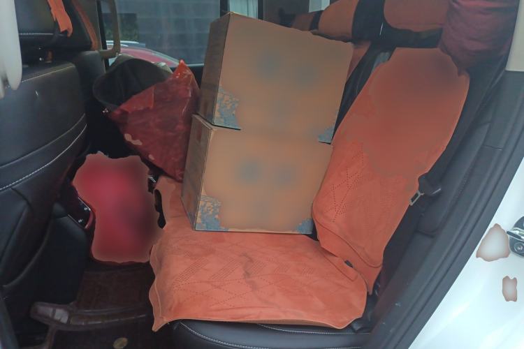 Used Tank 300 2025 2.0T Conqueror Left Rear Seat