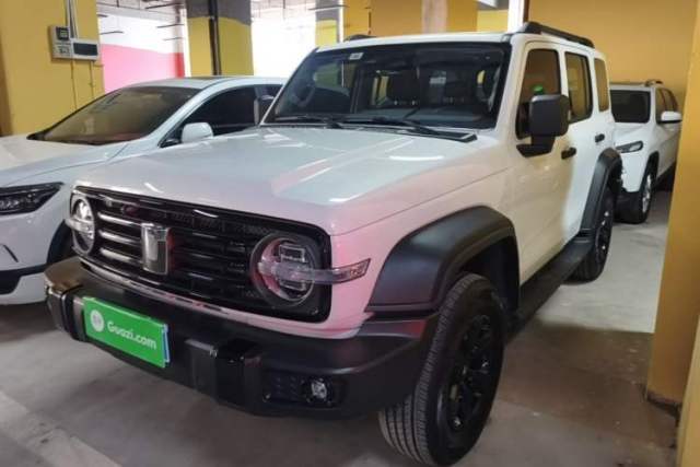Used Tank 300 2025 2.4T Diesel Version