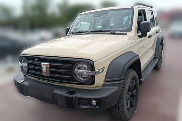 Used Tank 300 2025 Model, 2.0T Gasoline Polar Edition