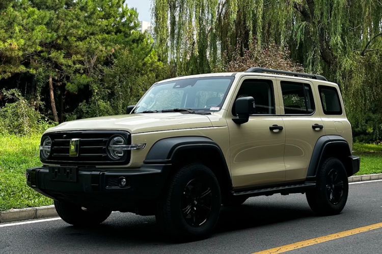 Used Tank 300 2025 2.0T Conqueror Guazi used car, China used car export, Used car for sale, Used  cars, Cheapest cars for sale