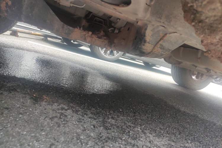 Used Tank 300 2025 2.0T Conqueror Chassis Front Left