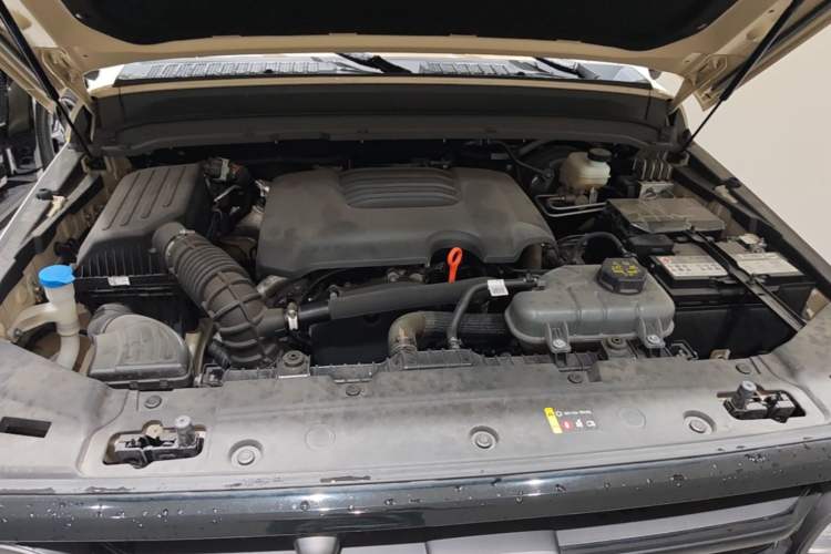 Used Tank 300 2025 2.0T Conqueror Engine Bay