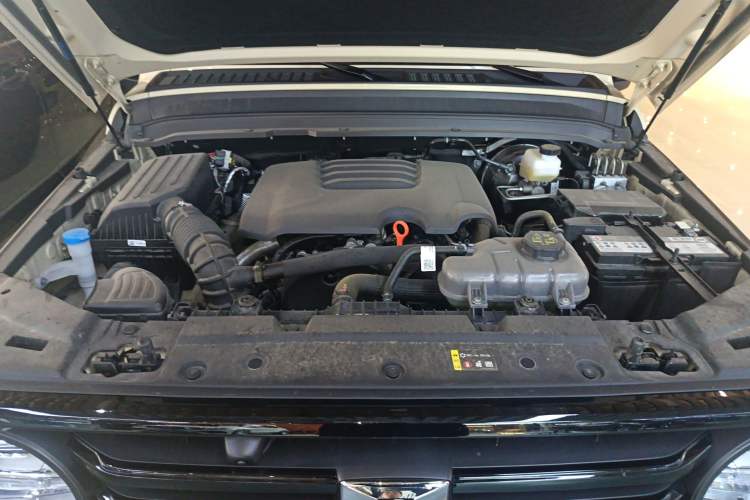 Used Tank 300 2025 2.0T Conqueror Engine Bay