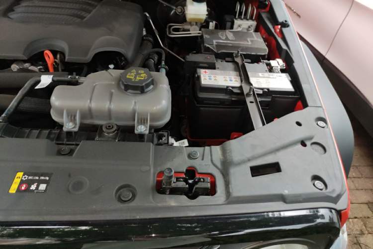 Used Tank 300 2025 2.0T Conqueror Engine Bay Left