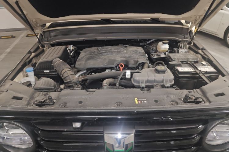 Used Tank 300 2025 2.0T Conqueror Engine Bay