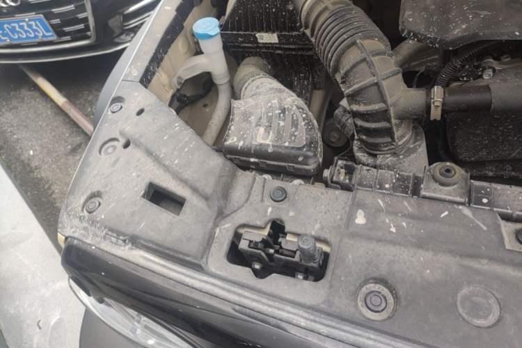 Used Tank 300 2025 2.0T Conqueror Engine Bay Right